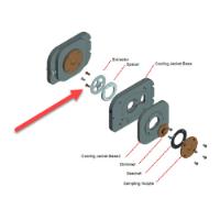 Screw, Peek Flat Head