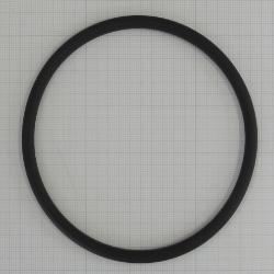 O-Ring, 4D P95