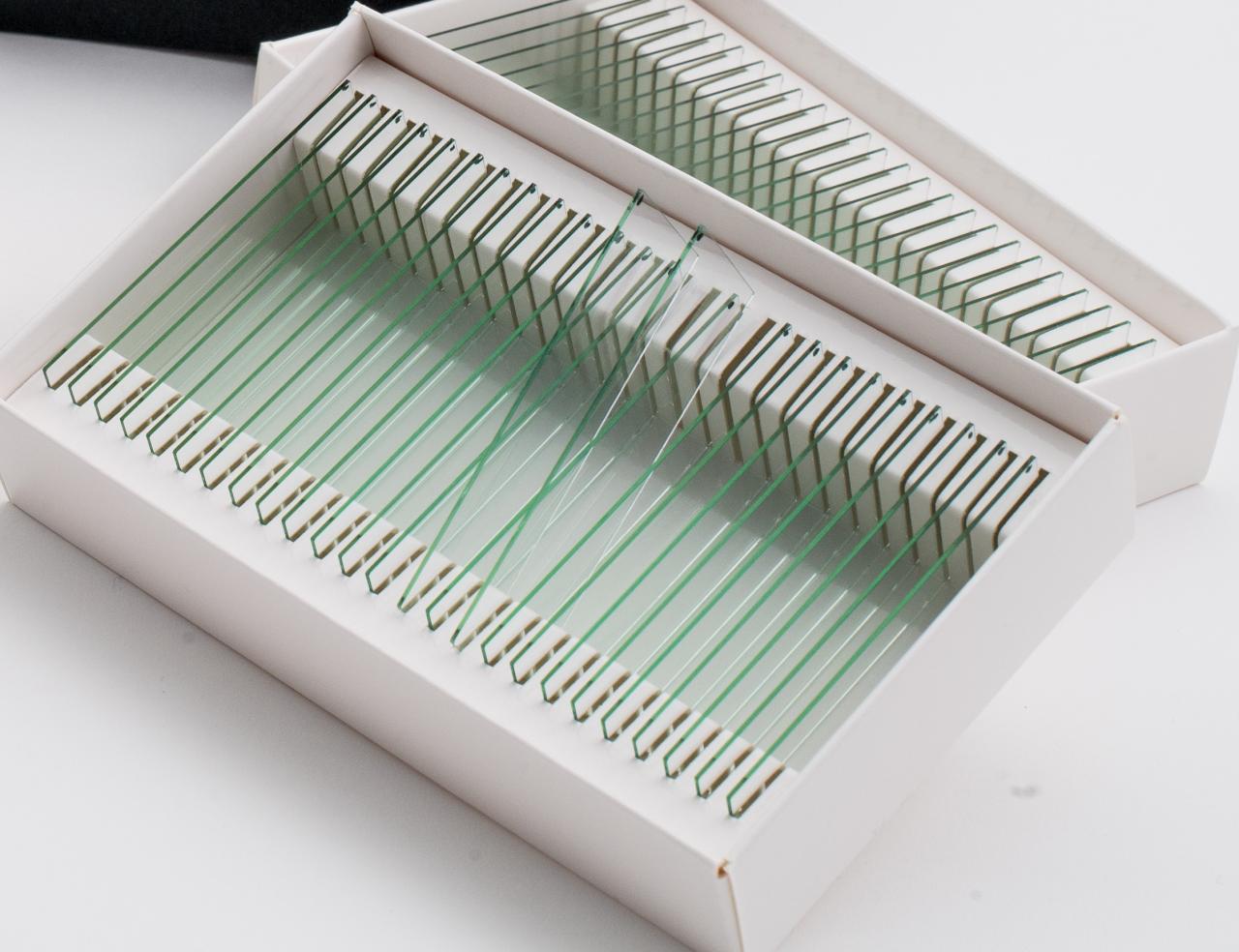 FlexiVision-mini ITO Glass Slides for M80X0 Imaging (Pack of 25 Slides)