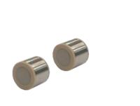 Shim-pack Scepter C18-300 (G), 5um, 10mm ID x 10mm LC Prep Guard Column Cartridge, 2/pk