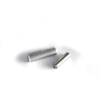 Ghost Trap DS Cartridge, 4.0 x 20mm, 2/pk