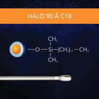 HALO 90A C18, 2.7um, 50 x 1.0mm LC Column
