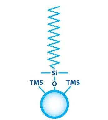 Force C18, 3um, 150 x 2.1mm LC Column